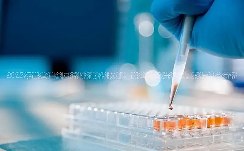 mk体育在线官网